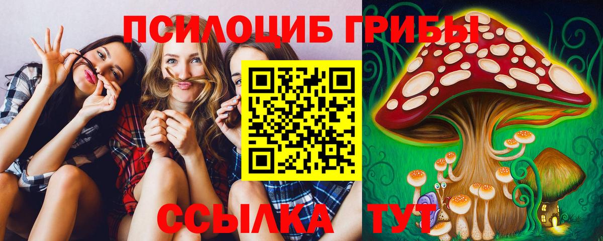 Галлюциногенные грибы GOLDEN TEACHER Северобайкальск